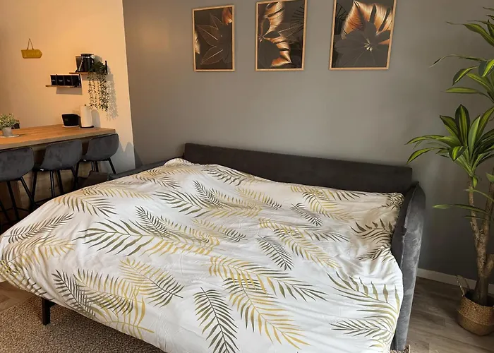 Yellow Beach, T2 Neuf Avec Jardin *