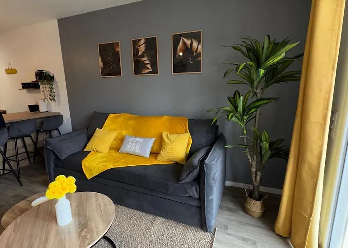Appartement Yellow Beach, T2 Neuf Avec Jardin